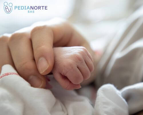 Paciente Prematuro Pedianorte Cucuta